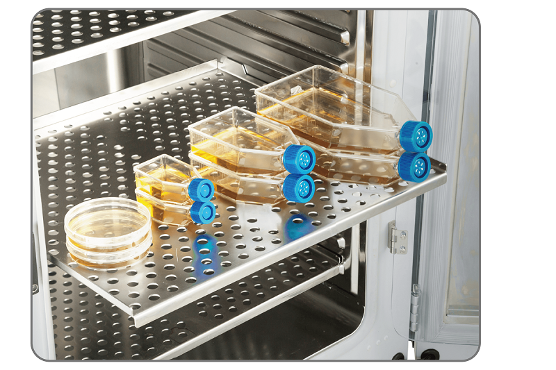 CO2 Інкубатор Haier Biomedical HCP-80 HM0021 фото